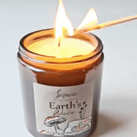 NEW! Glass Candles