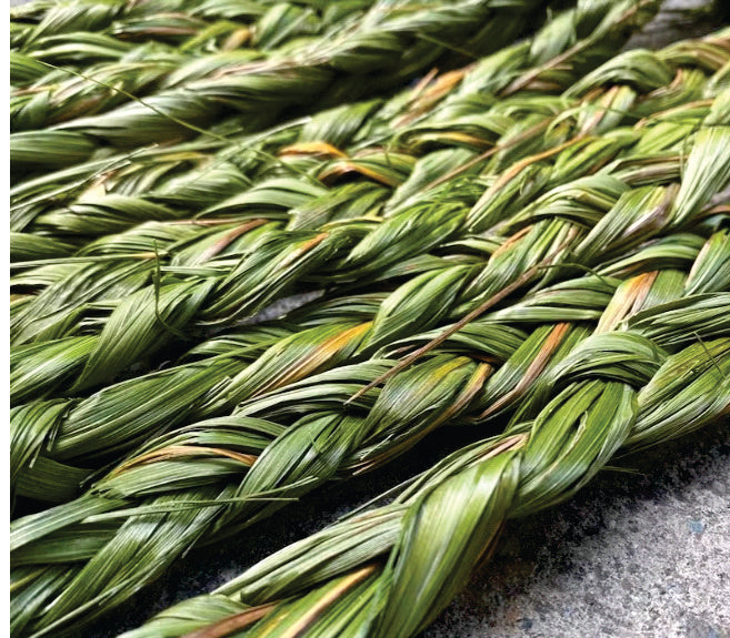 How Indigenous Women are bringing Sweetgrass into the modern World ...