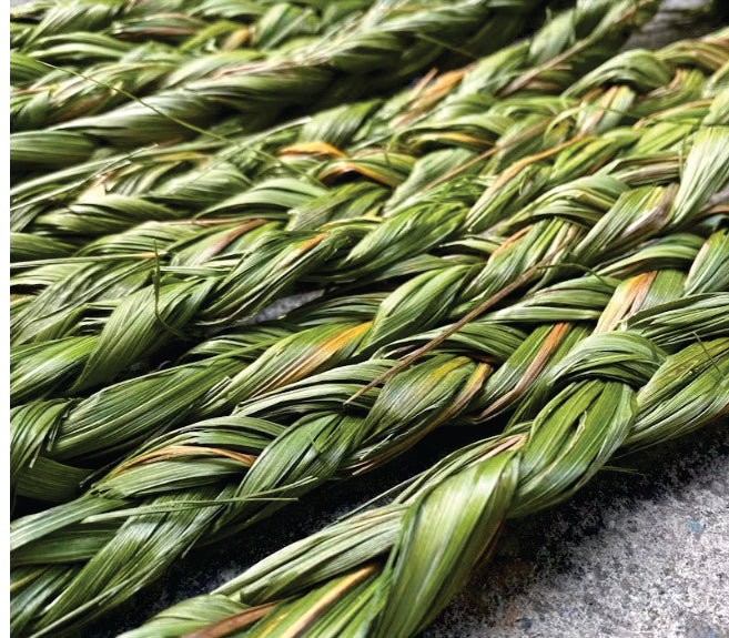 How Indigenous Women are bringing Sweetgrass into the modern World